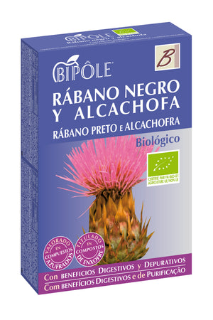 Intersa Bipole Schwarzer Rettich-Artischocke